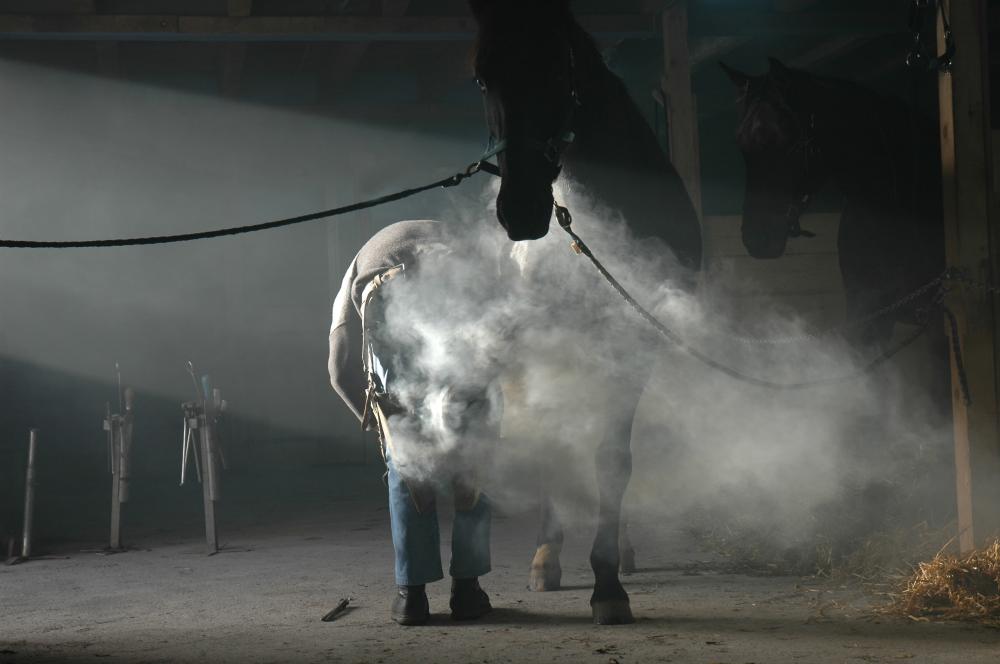 pose de fer à cheval